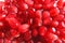 fresh wet Pomegranate seeds up close food background