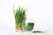 Fresh wheat grass juice in glass, seeds and  on white background