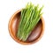 Fresh wheatgrass, Sprouted first leaves of common wheat in a wooden bowl