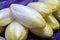 Fresh white belgian endive or chicory heads