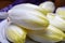 Fresh white belgian endive or chicory heads