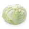 Fresh white cabbage whole head isolated on white with shadow, for your packaging design.