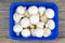 Fresh white champignons in blue plastic packaging