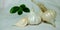 Fresh white colored garlic isolated on groups with green leaf