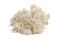 Fresh white coral fungus