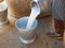 Fresh white dairy cow milk being poured into a bucket by a worker, right after finsh milking at a farm