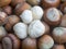Fresh white hazelnuts kernel