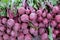 Fresh Whole Beetroot For Sale at Weekly Greek Street Market