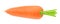 Fresh whole carrot isolated on a white background.