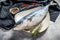 Fresh whole Japanese amberjack. Raw Fish Yellowtail. Gray background. Top view