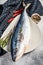 Fresh whole Japanese amberjack. Raw Fish Yellowtail. Gray background. Top view