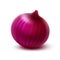 Fresh Whole Onion Bulb Isolated on Background