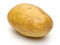 Fresh whole potato on white background