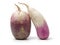 Fresh whole purple Japanese daikon radish