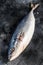 Fresh whole raw Japanese yellowtail. Fish Amberjack. Black background. Top view