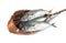 Fresh whole round indian mackerel in bamboo dipper on white