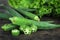 Fresh whole and slice organic green okra