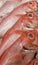 Fresh and wild caught Alfonsino (Beryx decadactylus, Chikame kintoki)