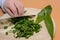 Fresh wild garlic processing - close-up