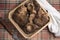 fresh wild mushrooms, collected in a basket