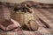 fresh wild mushrooms, collected in a basket