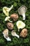 Fresh wild shiitake mushrooms on green moss