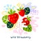 Fresh wild strawberry berry berries fruits juice splash oil organic food wild strawberries juicy splatter on abstract background