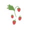 Fresh wild strawberry and leaf composition. Red forest berries. Summer plant with small ripe sweet fruits. Flat vector