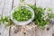 Fresh Winter Savory in a bowl