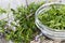 Fresh Winter Savory in a bowl