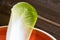 Fresh Witloof Organic Healthy Food. Raw Chicory Salad.