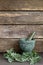 Fresh Wormwood Herb Leaves with Green Marble Mortar and Pestle