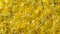 Fresh yellow dandelion flowers petals for jam on a background , rotates, top view