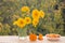 Fresh yellow flowers in glass vase and berries of sea buckthorn in saucer. Autumn colorfull  composition. Outdoors