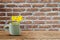 Fresh yellow flowers in white cup with heart shaped holder on grunge wooden table on old grunge vintage brick wall