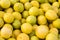 Fresh yellow lemons, close-up shot, agriculture and food concept