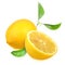 Fresh yellow lemons with green leaf