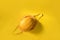 Fresh yellow melon in a cotton bag on the yellow background