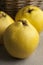 Fresh yellow quinces