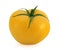 Fresh yellow tomato with waterdrops