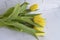 Fresh yellow tulips on grey background