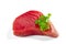 fresh yellowfin sliced tuna steak isolated on a white background. bluefin tuna medallions