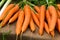 Fresh young carrots at local farmer market.