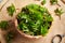 Fresh young ground elder plant in a bowl in spring