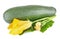 Fresh zucchini with green leaves and flower