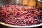 freshest grape juice in a stainless-steel vat