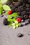 Freshly assorted berries in wooden bowl. Juicy and fresh blueberries6 blackberries and raspberries with green leaves on rustic