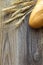 Freshly baguettes baked bread and wheat spikes on wooden background