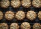 Freshly Baked Almond Cookies Cooling on a Wire Rack