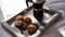 Freshly baked cookies on a silver tray with Italian coffee moka pot, morning treat, daily routine for breakfast